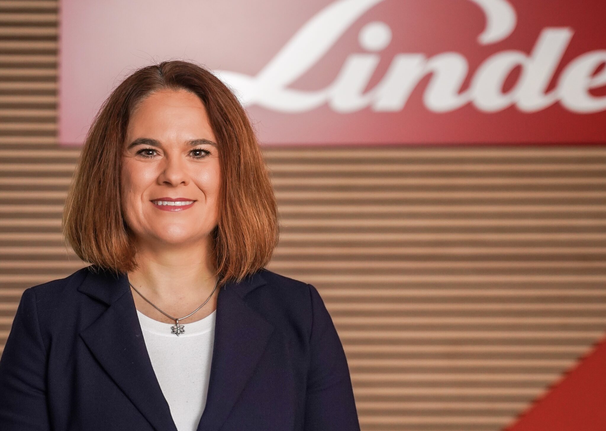 New Brand VP for Linde Material Handling