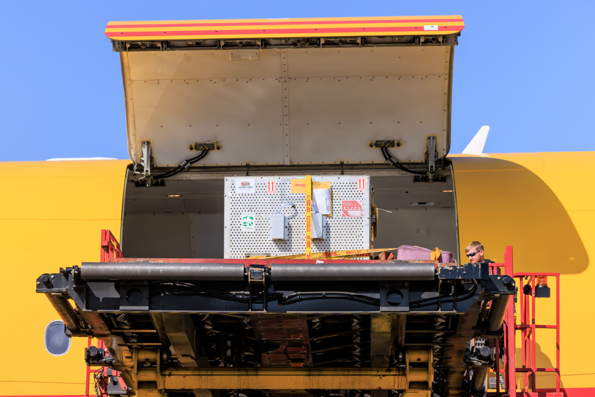 Chocolat-arriving-at-EMA-onboard-a-DHL-flight©DHLExpress-scaled