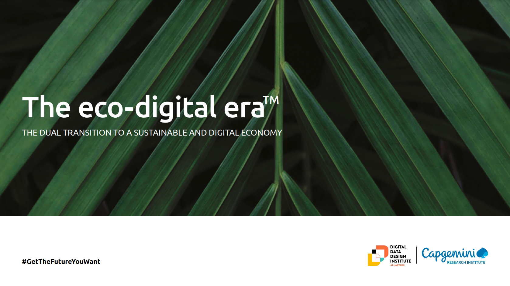 Enter the Eco-Digital Era