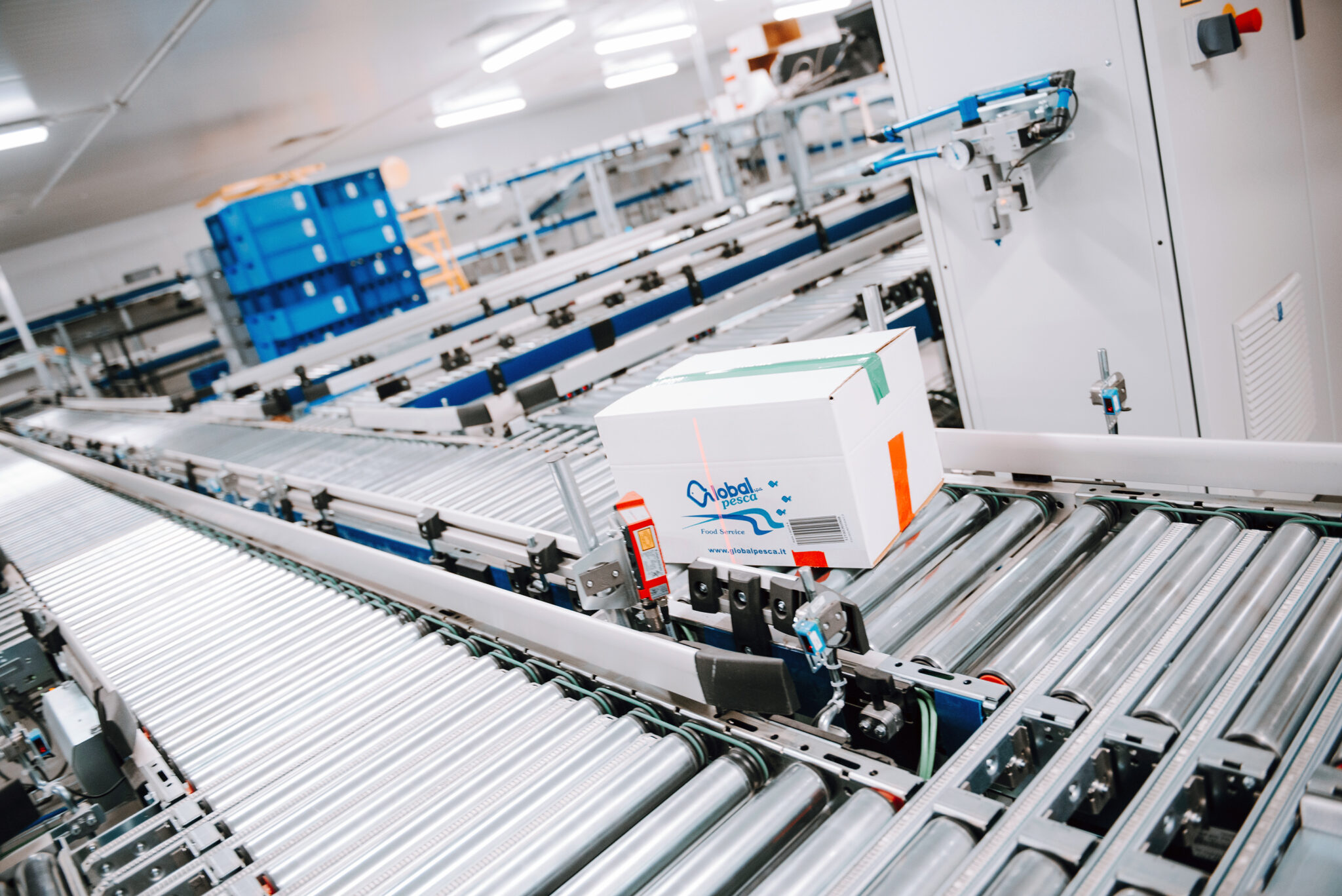 Globalpesca adds Automation to New Cold Storage Warehouse