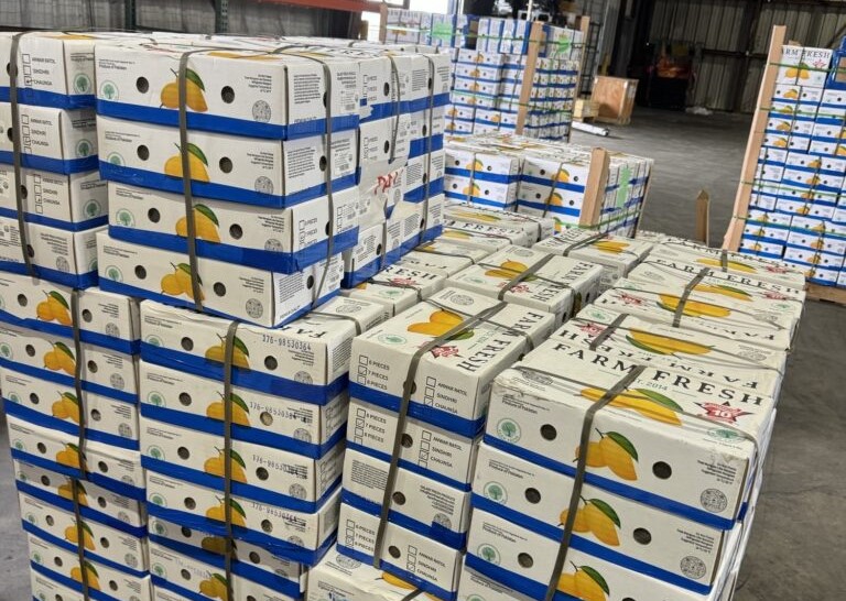 AA Cargo Flies Record Volumes of Mango