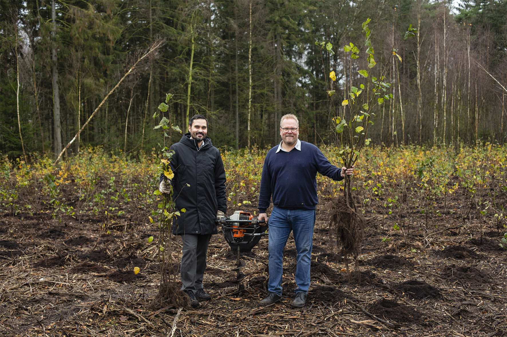 Intralogistics Provider STILL announced Reforestation Project