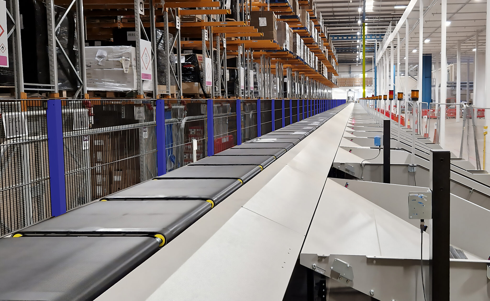 Advanced Packing and Sorting System